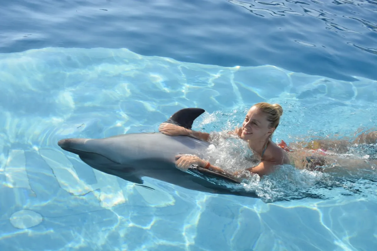 Swim with Dolphins Hurghada