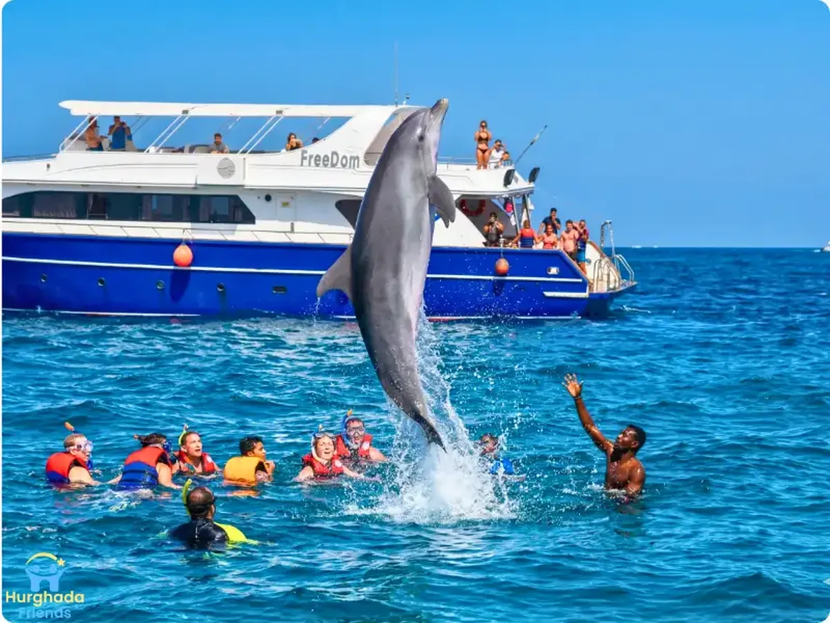 dolphin house hurghada