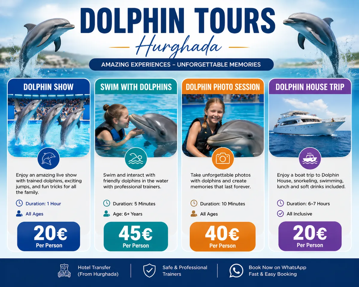 Dolphins tours