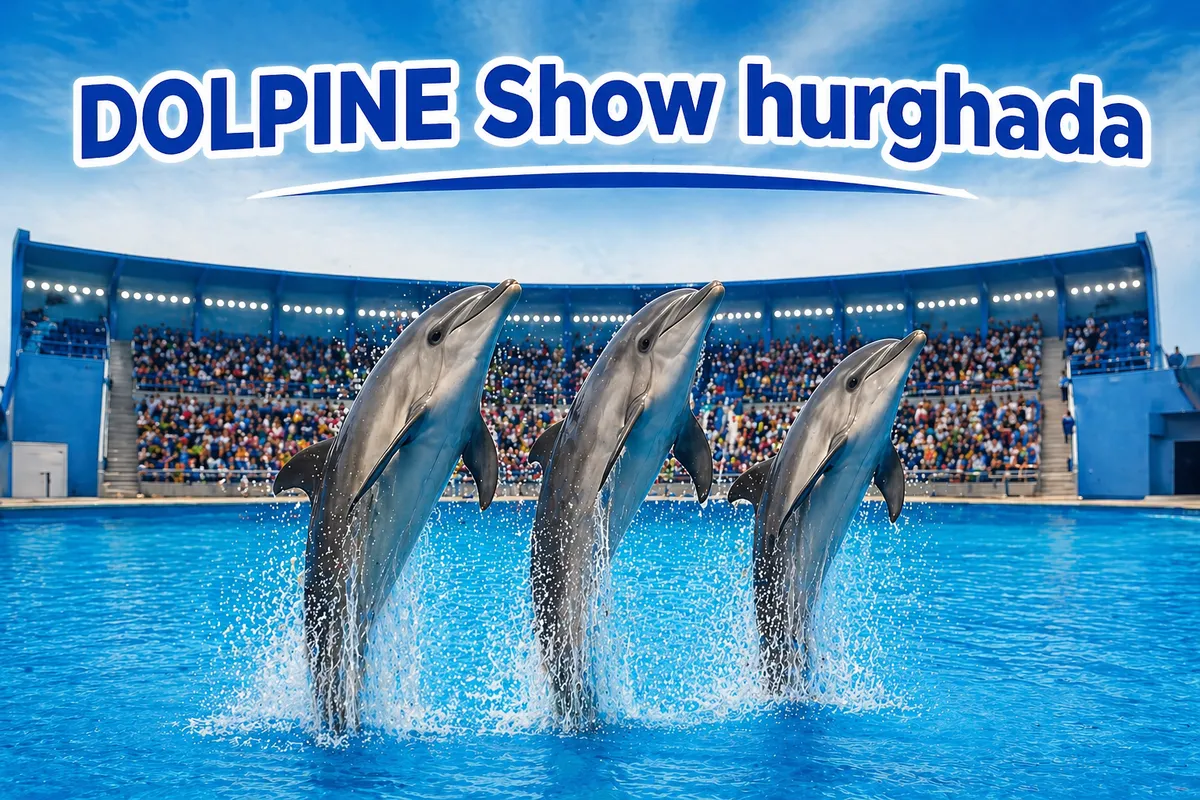 Dolphin Hurghada