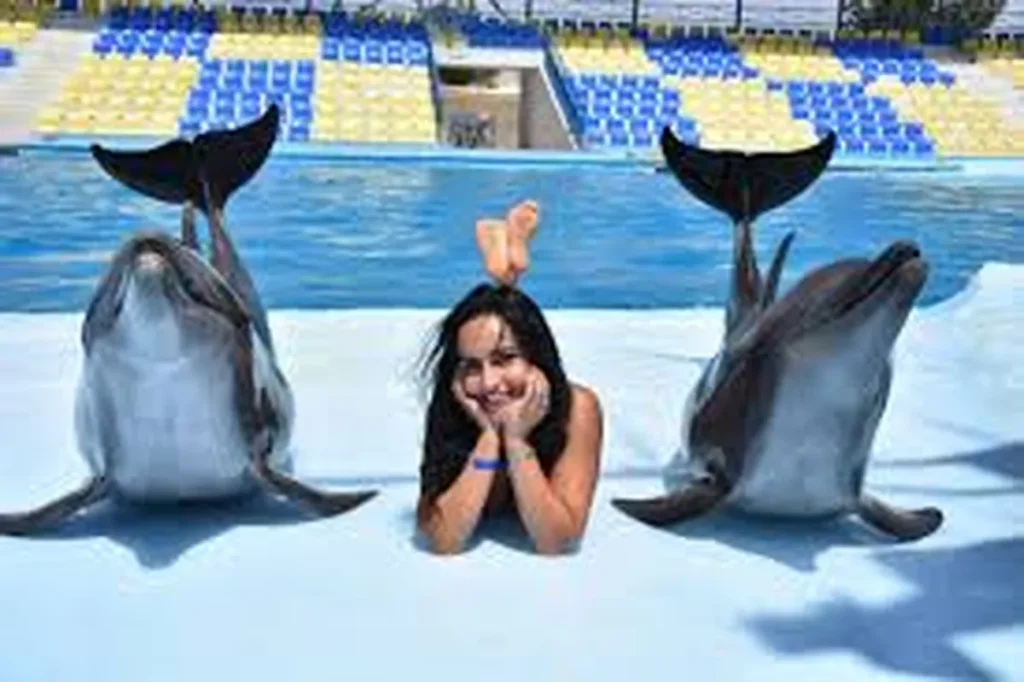 Dolphin Photo Session Hurghada 👇