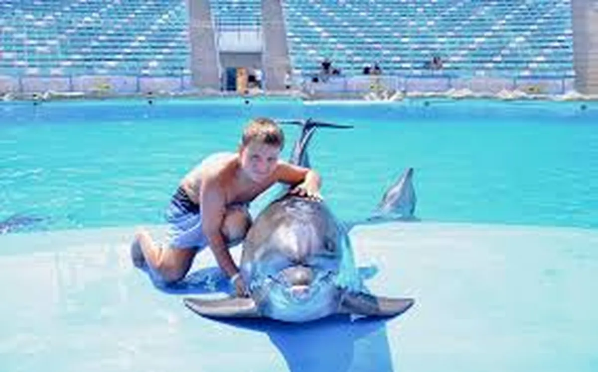 Dolphin Photo Session